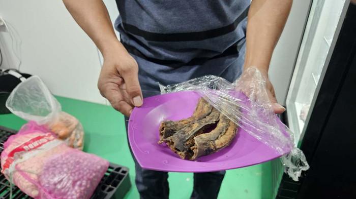 Viral Belatung di Menu Lele MBG di Magelang, Ini Penjelasan Sekolah dan SPPG Muntilan