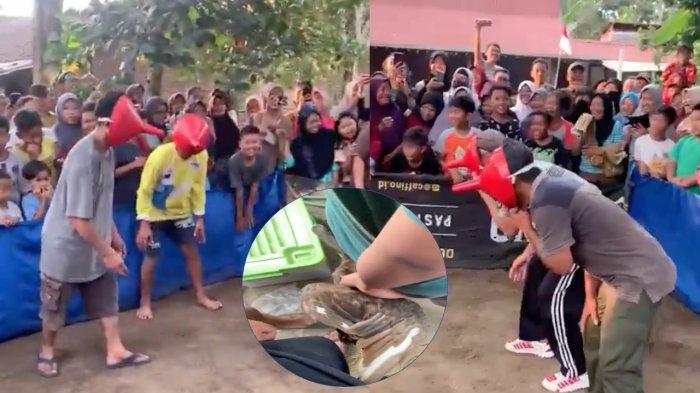 Viral Momen Lomba Nangkap Ayam di Magelang, tapi Ayamnya Belum Dilepas, Bikin Ngakak