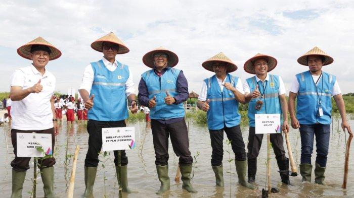 Warga Sambut Positif Program Pemprov-PLN Merestorasi Pesisir Pantura Jateng
