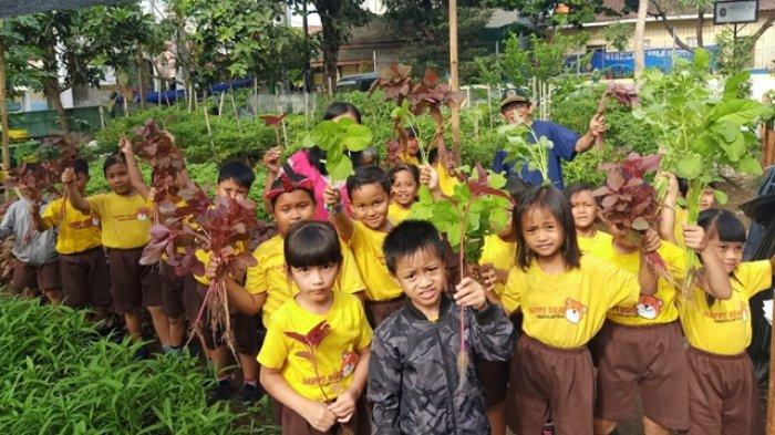 Warga Tompeyan Tegalrejo Yogyakarta Ajak Anak-anak TK Memanen Sayuran