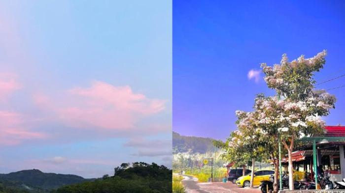 Pemandangan hamparan sawah hijau di Bale Mindo memberikan pengalaman makan yang menenangkan dan menyegarkan pikiran.