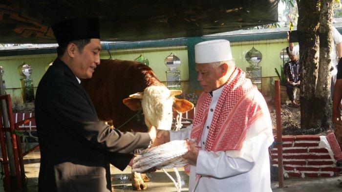 Bupati Magelang dan Forkompinda Kurbankan 22 Ekor Sapi dan Kambing