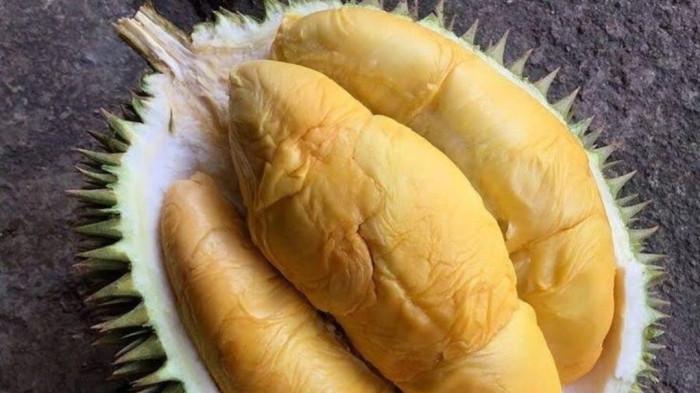 daging durian