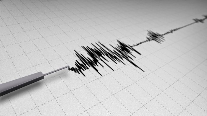 Info BMKG, Gempa 7 SR Terjadi di Lombok Utara, NTB Berpotensi Tsunami