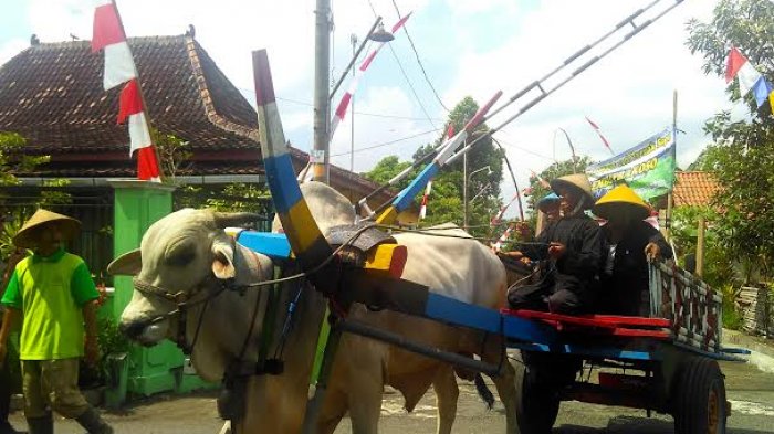 REALTIME NEWS: Gerobak Sapi Meriahkan Kirab Wiwitan Dusun Babadan