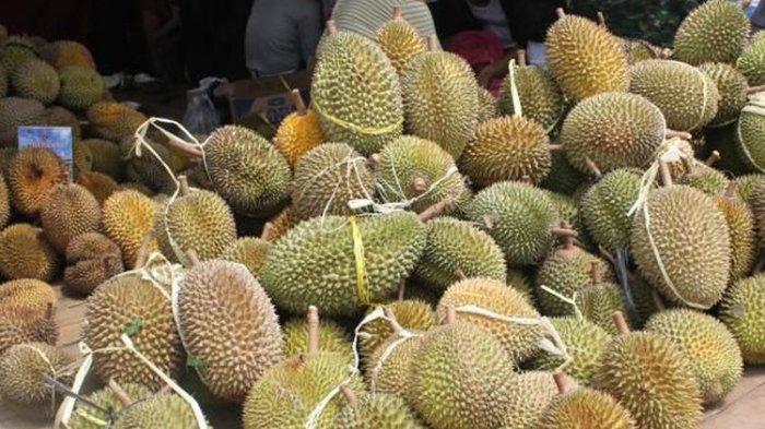 Ilustrasi durian