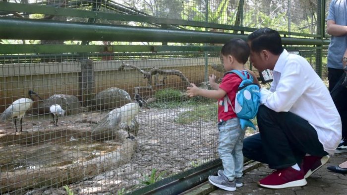 Alasan Jokowi Suka Sneakers dan Merek Apa yang Pakai