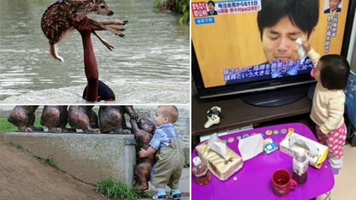 Mengharukan, Lima Gambar Ini Menunjukkan Besarnya Rasa Kemanusiaan dari Anak-anak