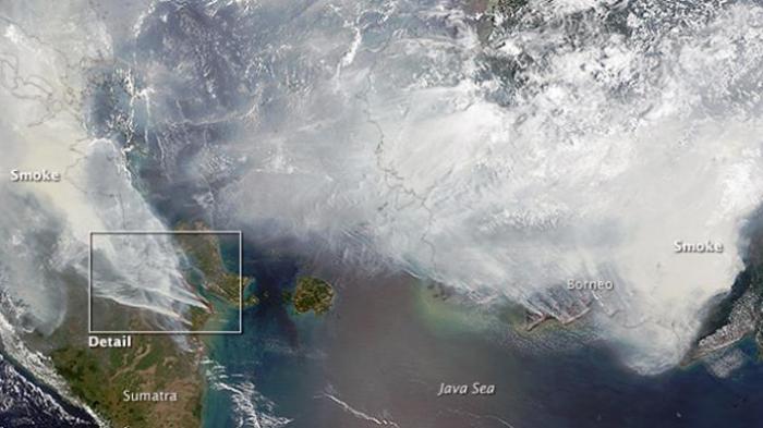 Kerugian Ekonomi Akibat Bencana Asap Capai Rp 200 Triliun