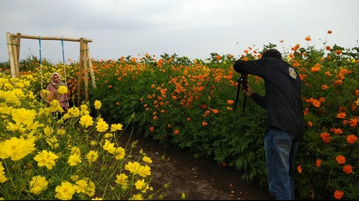 Ingin Membuat Caption Foto yang Menarik? Perhatikan Ini
