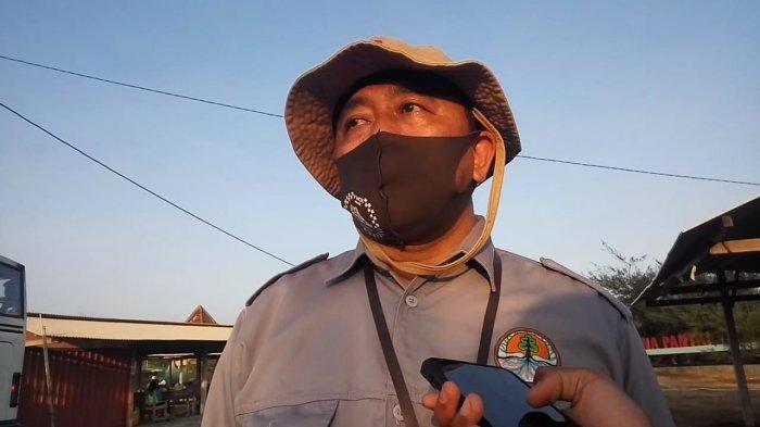 BKSDA DIY Bantu Rencana Relokasi Tempat Konservasi Penyu di Kulon Progo
