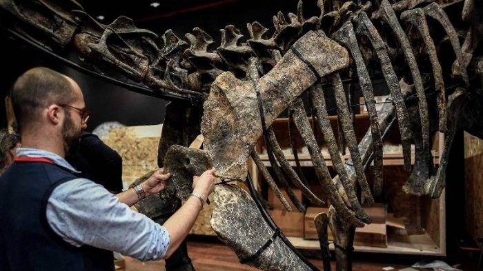 Mau Mengoleksi Kerangka Dinosaurus? Ada yang Jual Lho, Tapi Siapkan Dompet yang Tebal !