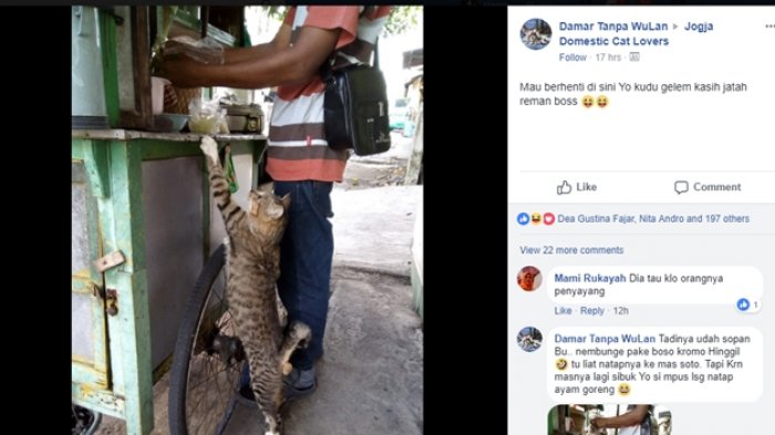 Potret Seekor Kucing dan Tukang Soto Ini Bikin Warganet Gemas