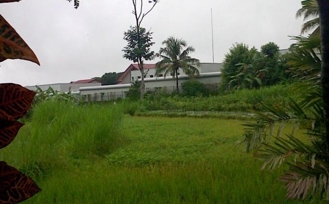 Kalapas Pakem Dimutasi ke NTB