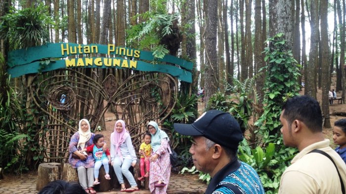 Shelter Bus Besar di Imogiri Diharapkan Tidak Bersifat Memaksa