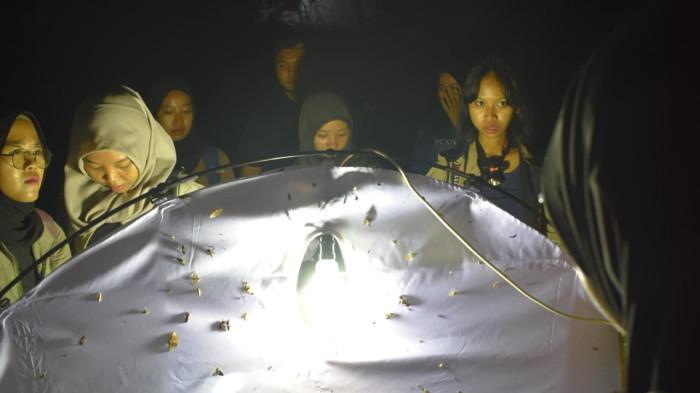 Garda Bagus dan Perjalanan Panjang Mengenalkan Dunia Serangga Lewat Nusantara Wilderness