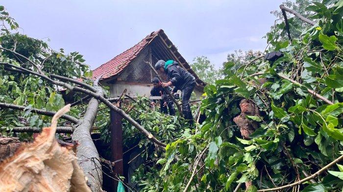 Dapur dan Kamar Mandi Warga Klaten Porak Poranda Tertimpa Pohon