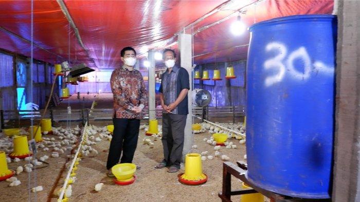 PLN Dukung Industri Peternakan Ayam
