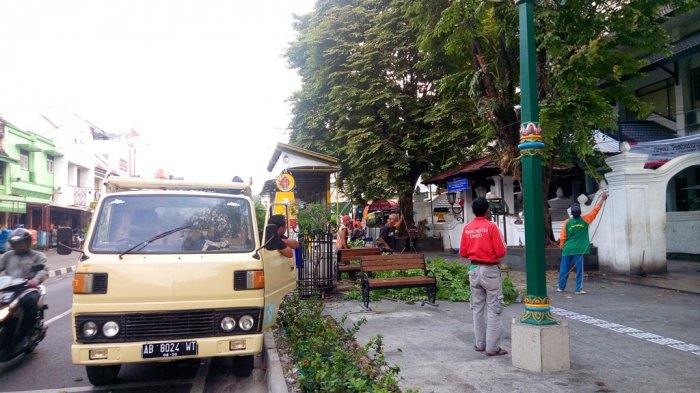 Petugas Kebersihan Rapikan Pepohonan di Kawasan Malioboro