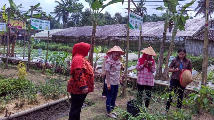 Proses Penjurian Taman Herbal di DIY, sudah memasuki Desa Ke-13