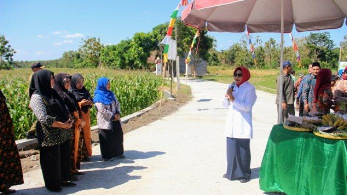 Proyek Padat Karya Bantu Pengangguran Mendapatkan Penghasilan