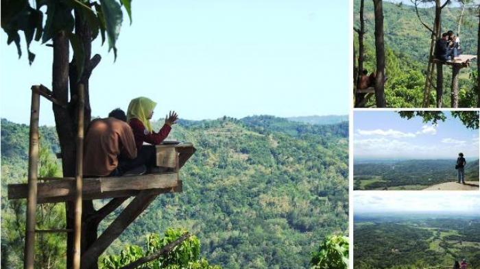 Puncak Becici, Tempat Asyik Menyaksikan Yogya dari Ketinggian