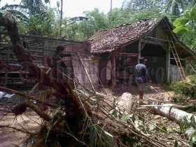 Nenek 70 Tahun Terpaksa Tinggal di Bawah Rumpun Bambu