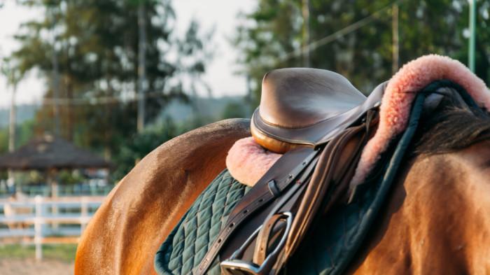 saddle pelana slebrak saddle pad