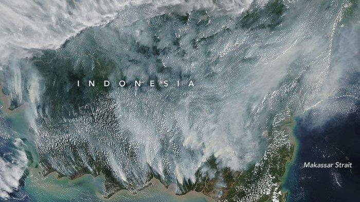 Saking Parahnya, Asap Kebakaran Hutan Tertangkap Satelit NASA Sebagian Daratan Tak Terlihat!