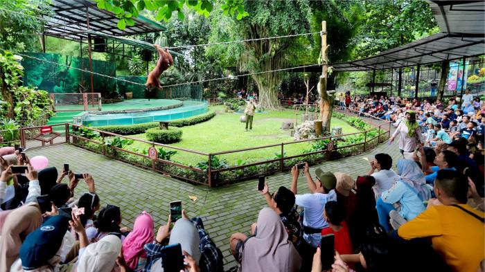 sumber: gembiralokazoo.com