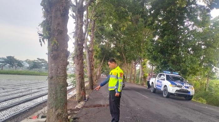 Pemotor Meninggal Dunia Usai Senggolan dengan Kendaraan Lain di Pengasih Kulon Progo