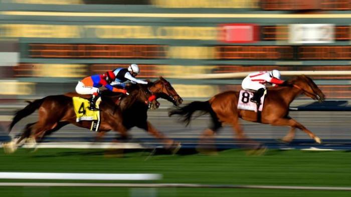 teknik fotografi panning di pacuan kuda