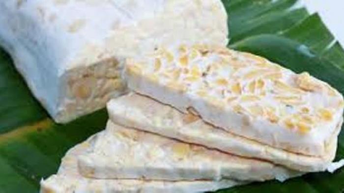 Konferensi Tempe Digelar di Yogyakarta