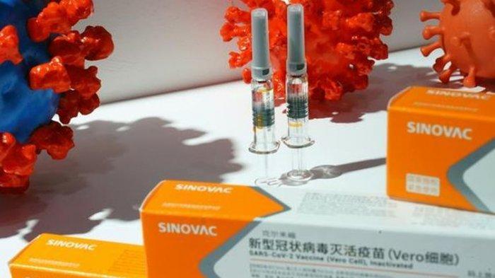 Vaksin Corona Sudah Tersedia, 1,2 Juta Dosis Siap Suntik