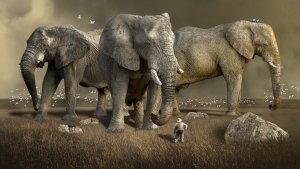 15-ARTI-MIMPI-Tentang-Gajah-Menurut-Islam-Apakah-Itu-Tanda-Kebijaksanaan.jpg