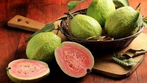 4-manfaat-jambu-biji-untuk-kesuburan-dan-ibu-hamil.jpg