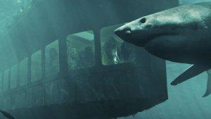 47-Meters-Down-Uncaged.jpg