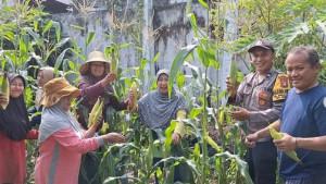 Aipda-Widarmono-dan-kelompok-petani-bunga-telang.jpg
