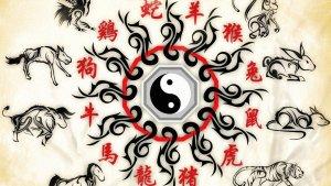 Apa-Pesan-Ramalan-Shio-Hari-Ini-Rabu-16-November-2022-Ada-Shio-Naga-Shio-Kuda-Shio-Kerbau-Shio-Ayam.jpg