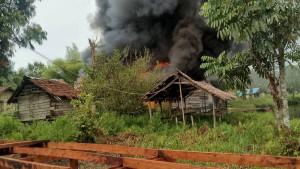 Enam-Anggota-KKB-Tembak-Warga-Sipil-di-Asmat-Pelaku-Bawa-Senjata-Laras-Panjang.jpg