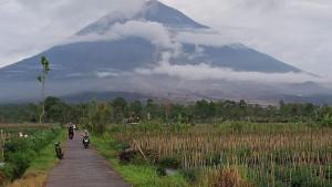 Enam-Jam-Terakhir-Gunung-Semeru-Alami-25-Letusan-dan-Guguran-Awan-Panas.jpg