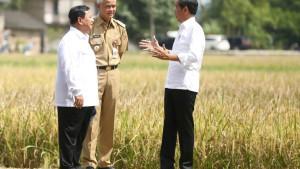 HASIL-Survei-Bacapres-Agustus-2024-Ketatnya-Persaingan-Prabowo-dan-Ganjar-Pr.jpg