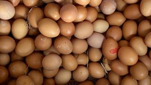 Harga-Telur-di-Bantul-Tembus-Rp30-Ribu-per-Kilogram.jpg