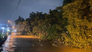 Hujan-Deras-di-Jogja-Rumpun-Bambu-di-Bantaran-Gajahwong-Roboh-Tak-Kuat-Menahan-Arus-Sungai.jpg
