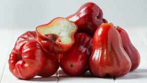 ILUSTRASI-FOTO-Jambu-Air-Buah-Jambu-Air.jpg