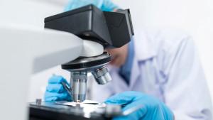 ILUSTRASI-FOTO-Uji-Laboratorium-Uji-Lab-Hasil-Tes-Laboratorium-Hasil-Tes-Lab.jpg
