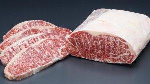 Ilustrasi-daging-meltique.jpg