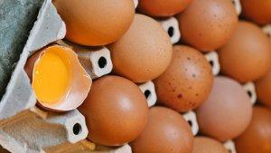 Ilustrasi-foto-update-harga-telur-ayam.jpg