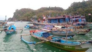 Kekurangan-Es-Balok-Ikan-Tangkapan-Nelayan-di-Pantai-Sadeng-Banyak-yang-Membusuk.jpg