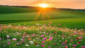Kosakata-Flower-dan-Beautiful-Plant.jpg
